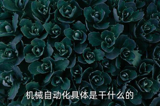 機械自動化具體是干什么的