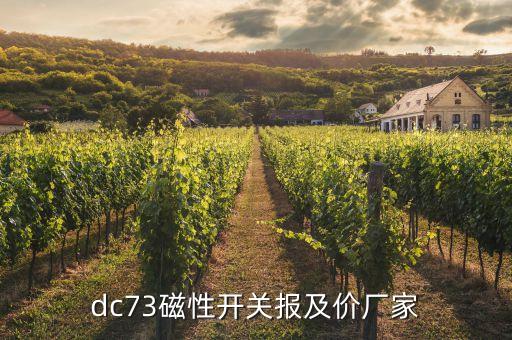 dc73磁性開關(guān)報及價廠家