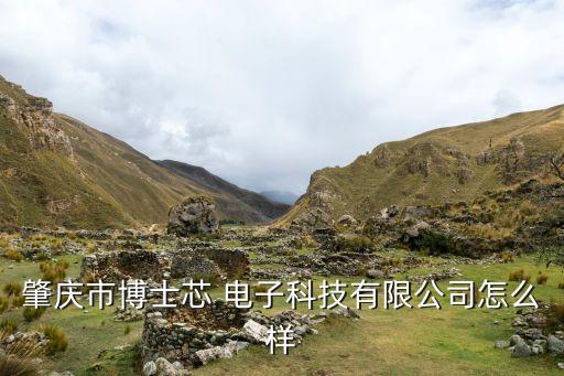 肇慶市博士芯 電子科技有限公司怎么樣