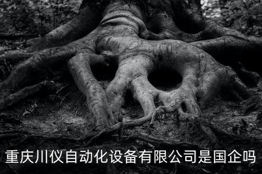 重慶川儀自動(dòng)化設(shè)備有限公司是國(guó)企嗎