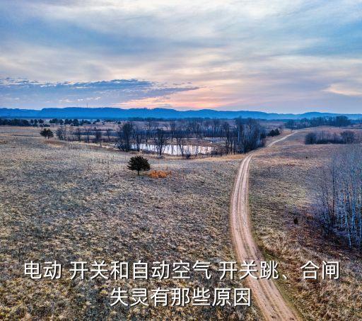 電動 開關(guān)和自動空氣 開關(guān)跳、合閘失靈有那些原因