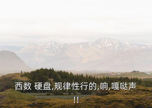 西部數(shù)據(jù)硬盤正放有聲音