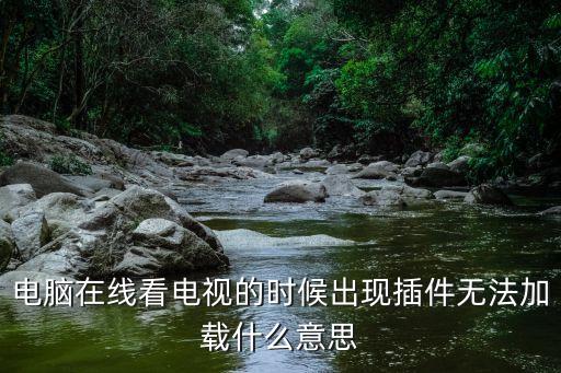 電腦在線看電視的時候出現(xiàn)插件無法加載什么意思