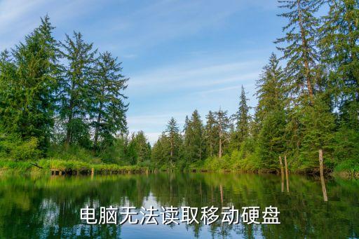 電腦無法讀取移動硬盤