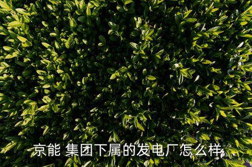  京能 集團(tuán)下屬的發(fā)電廠怎么樣