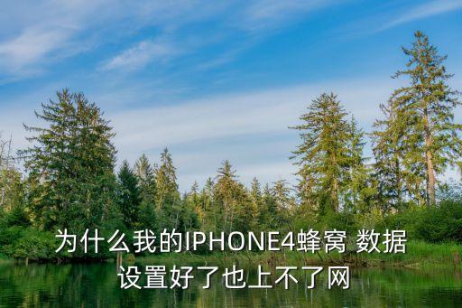 為什么我的IPHONE4蜂窩 數(shù)據(jù) 設(shè)置好了也上不了網(wǎng)