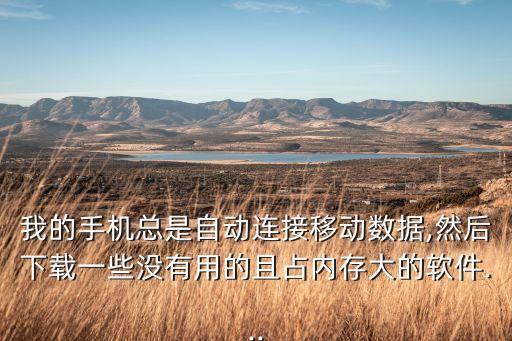 手機一直有數(shù)據(jù)怎么辦啊,手機數(shù)據(jù)不清楚怎么辦?