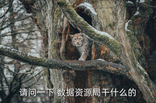 請問一下 數(shù)據(jù)資源局干什么的