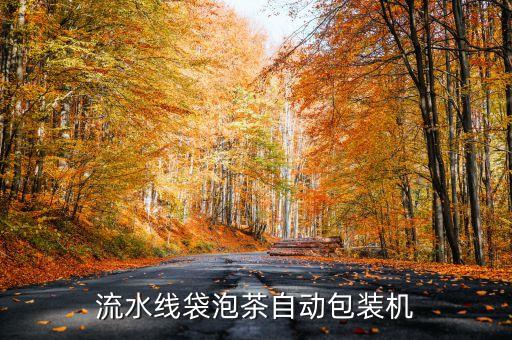 屹立自動化縫制設(shè)備,自動化設(shè)備有哪些?