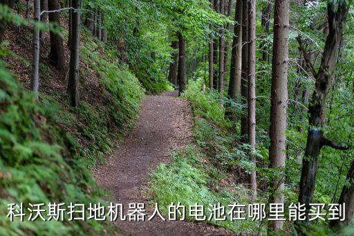 科沃斯掃地機器人的電池在哪里能買到