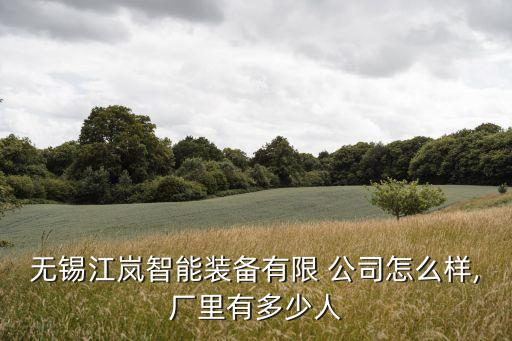 無錫江嵐智能裝備有限 公司怎么樣,廠里有多少人