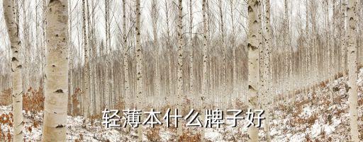  輕薄本什么牌子好