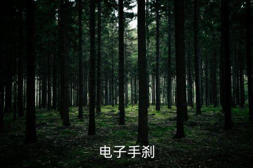 電子剎車(chē),電動(dòng)車(chē)電子剎車(chē)怎么用?
