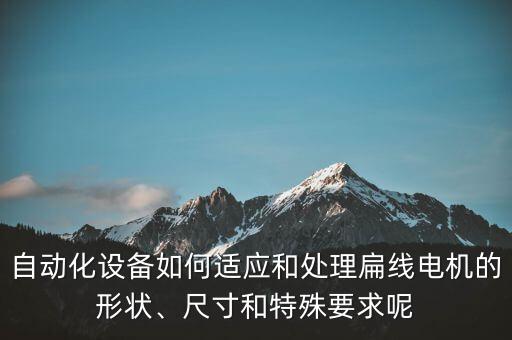 自動(dòng)化設(shè)備如何適應(yīng)和處理扁線電機(jī)的形狀、尺寸和特殊要求呢
