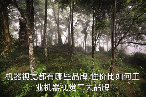 機(jī)器視覺(jué)都有哪些品牌,性價(jià)比如何工業(yè)機(jī)器視覺(jué)三大品牌