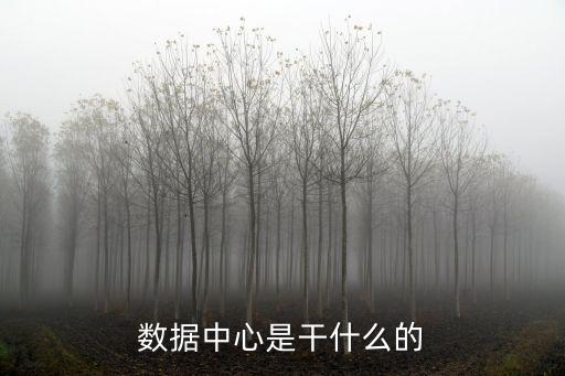 數(shù)據(jù)中心是干什么的