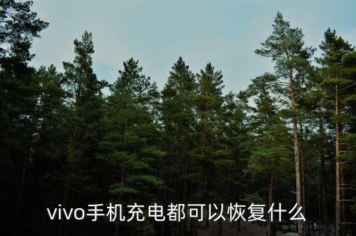 怎么恢復(fù)vivo的數(shù)據(jù)線,手機(jī)怎么恢復(fù)出廠設(shè)置?