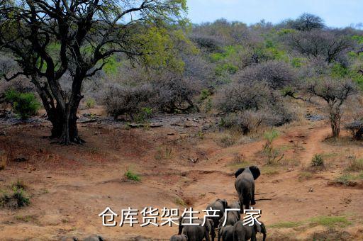 河北哪里有自動化倉庫銷售公司,自動化立體倉庫廠家有哪些?