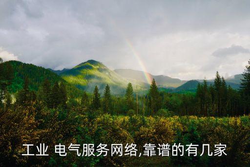 工業(yè) 電氣服務(wù)網(wǎng)絡(luò),靠譜的有幾家