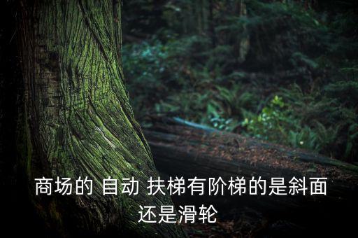 商場(chǎng)自動(dòng)扶梯