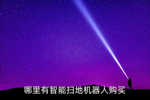 哪里有智能掃地機器人購買