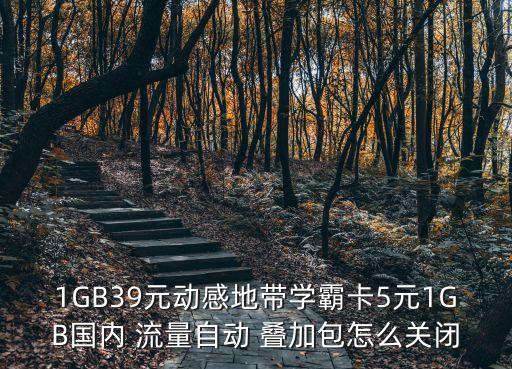 1GB39元動感地帶學霸卡5元1GB國內 流量自動 疊加包怎么關閉