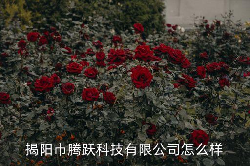 揭陽市騰躍科技有限公司怎么樣
