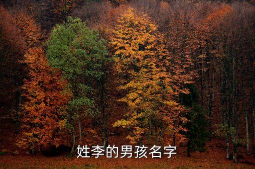 姓李的男孩名字