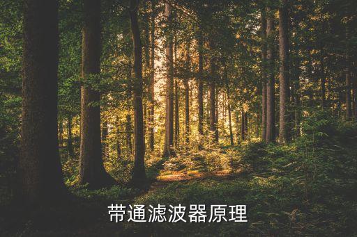 帶通濾波器原理