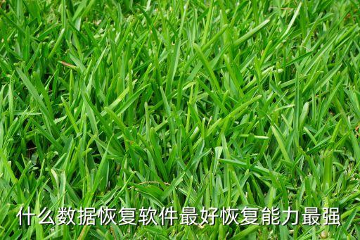什么數(shù)據(jù)恢復軟件最好恢復能力最強