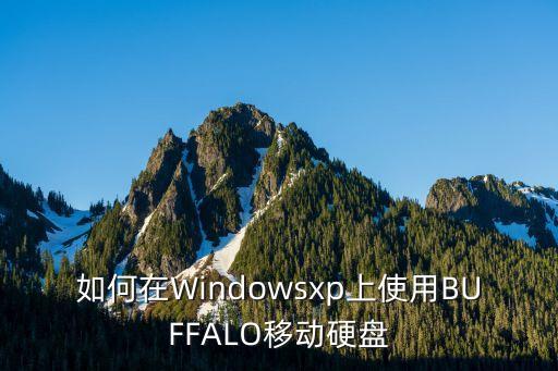 如何在Windowsxp上使用BUFFALO移動硬盤