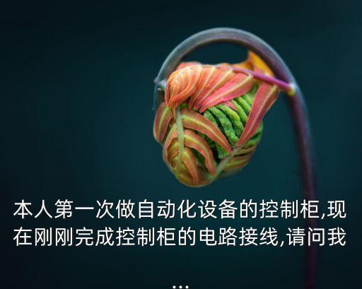 本人第一次做自動(dòng)化設(shè)備的控制柜,現(xiàn)在剛剛完成控制柜的電路接線,請(qǐng)問(wèn)我...