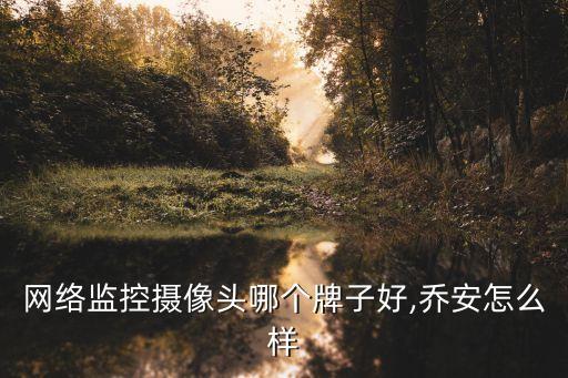 網(wǎng)絡(luò)監(jiān)控攝像頭哪個牌子好,喬安怎么樣