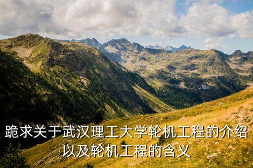 跪求關(guān)于武漢理工大學(xué)輪機(jī)工程的介紹以及輪機(jī)工程的含義