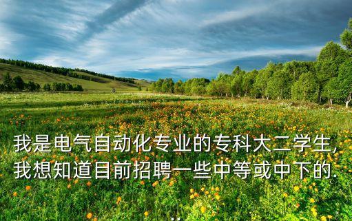 我是電氣自動(dòng)化專業(yè)的?？拼蠖W(xué)生,我想知道目前招聘一些中等或中下的...