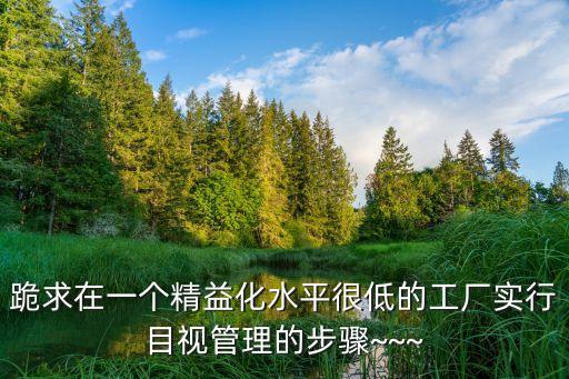 跪求在一個(gè)精益化水平很低的工廠實(shí)行目視管理的步驟~~~