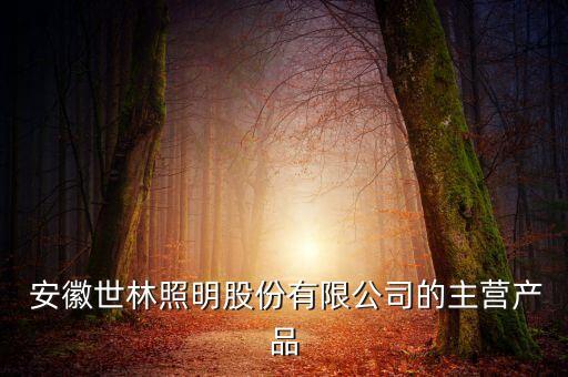  安徽世林照明股份有限公司的主營產(chǎn)品