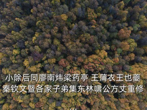 小除后同廖南煒梁藥亭 王蒲衣王也夔秦欽文暨各家子弟集東林嘯公方丈重修...