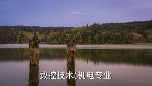 什么是電氣自動化實訓報告,電氣自動化實訓報告3000字