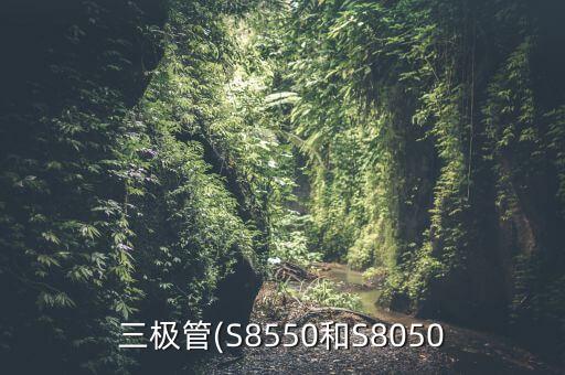 s8550
