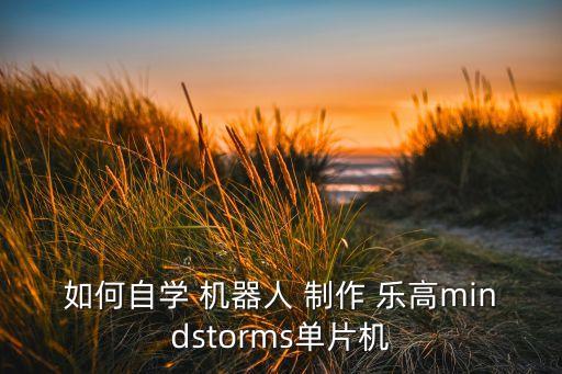 樂高無機器機器人制作,樂高格斗機器人制作教程