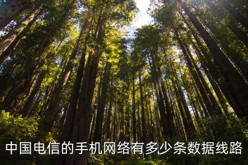 移動運(yùn)營商數(shù)據(jù)分析,中國電信的手機(jī)網(wǎng)絡(luò)數(shù)據(jù)線路數(shù)量分析