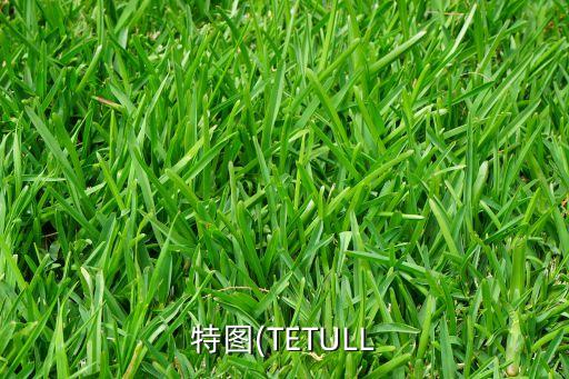 特圖(TETULL