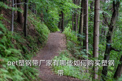 pet塑鋼帶廠家有哪些如何購買塑鋼帶