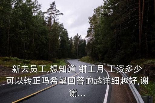 新去員工,想知道 鉗工月 工資多少可以轉(zhuǎn)正嗎希望回答的越詳細(xì)越好,謝謝...