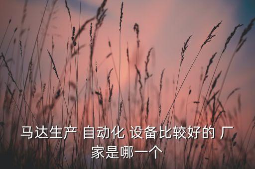 馬達生產(chǎn) 自動化 設備比較好的 廠家是哪一個