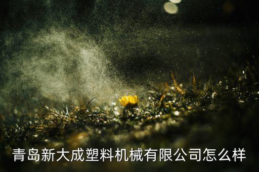 青島新大成塑料機(jī)械有限公司怎么樣
