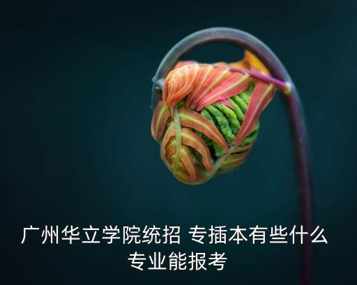 廣州華立學(xué)院統(tǒng)招 專插本有些什么 專業(yè)能報(bào)考