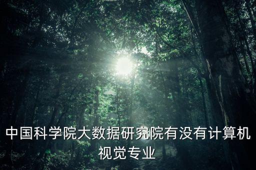 中國科學(xué)院大數(shù)據(jù)研究院有沒有計算機視覺專業(yè)