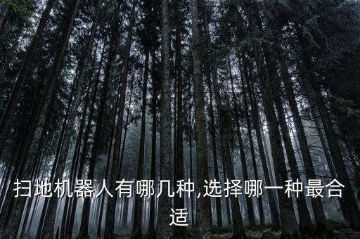 掃地機(jī)器人有哪幾種,選擇哪一種最合適